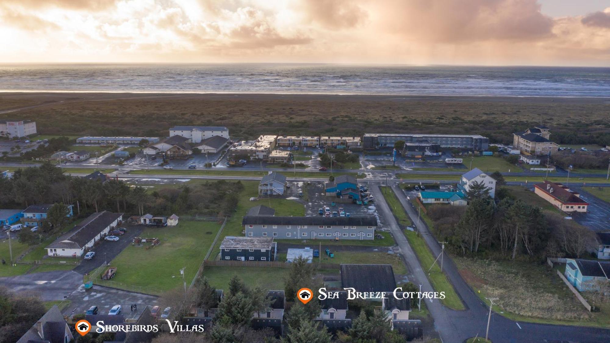 Shorebirds Villas Ocean Shores Room photo